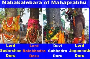 Nabakalebara of Lord Jagannath